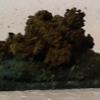 6mm wooded area